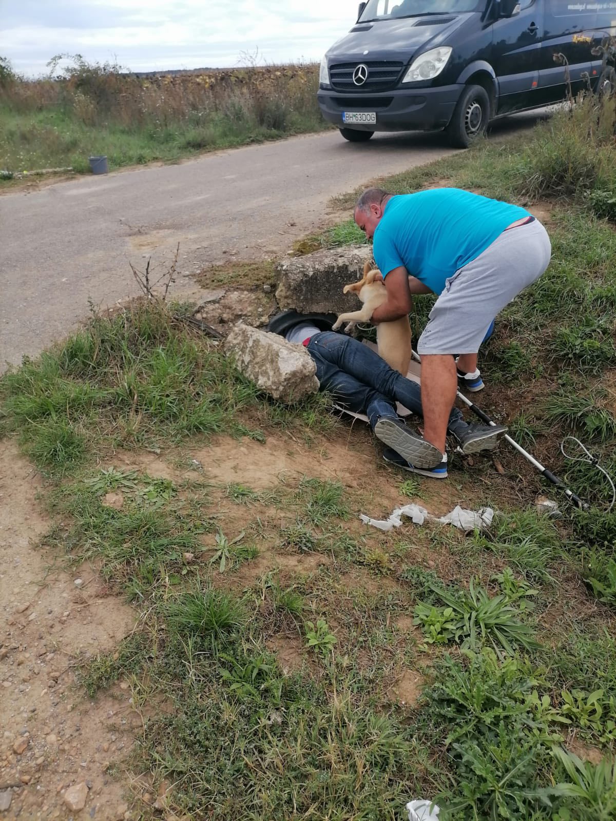 O intervenție pentru o cățelușă speriată (Buduslău — Marghita) - 2025-09-23