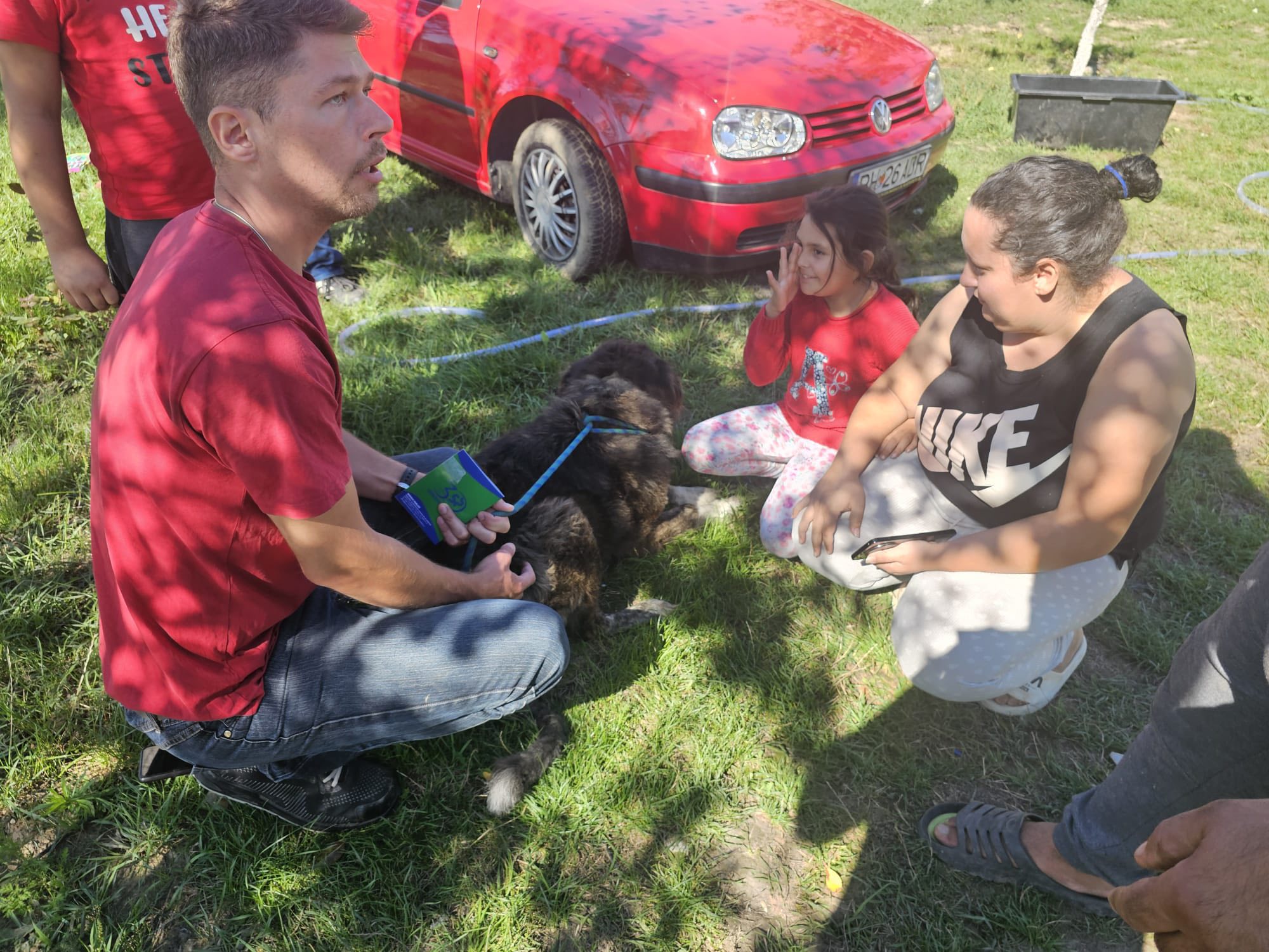 Întoarcerea câinilor acasă în Sălacea – un pas important pentru comunitate - 2025-09-24